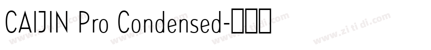 CAIJIN Pro Condensed字体转换